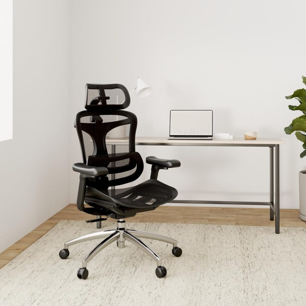 Chaise de bureau ergonomique SIHOO Doro C300 pour le mal de dos